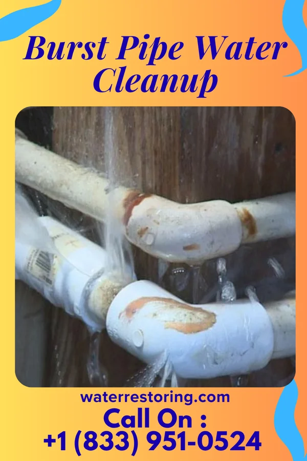 Burst Pipe Water Cleanup in Spry, PA