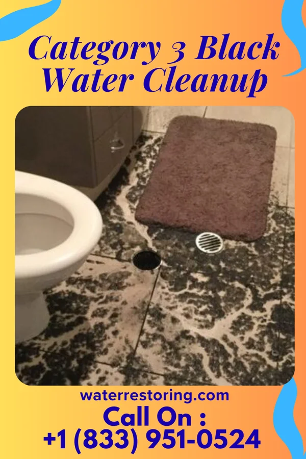 Category 3 Black Water Cleanup in Spry, PA