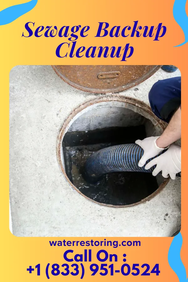 Sewage Backup Cleanup in Spry, PA