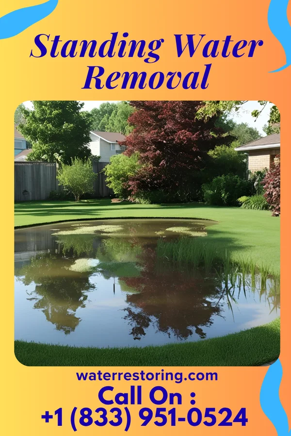 Standing Water Removal in Spry, PA